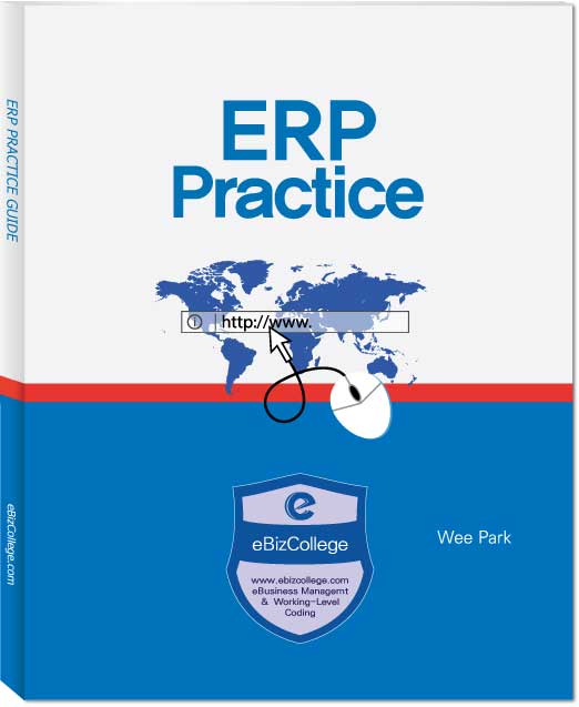 ERP Practice